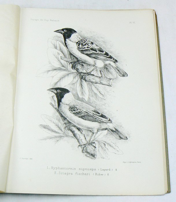 Guy Babault, A. Ménégaux - Voyage dans l'Afrique Orientale Anglaise et dans l'Ouganda - Étude d'une collection d'oiseaux de ... - 1923