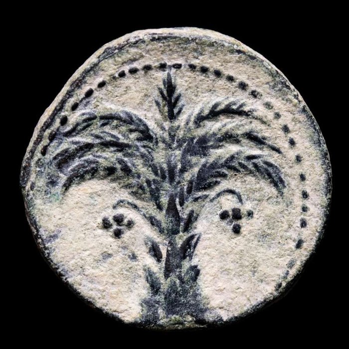 Hispania, Cartagonova. Æ Calco,  220-215 a. C. - Ares / Palmera