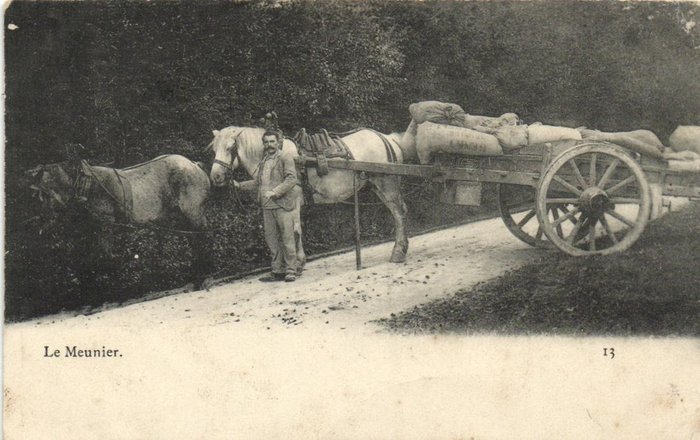 Rijtuigen - o.a. Paard en wagen, Hooikarren, Bokkenwagen, Ossenkar, Ezel als trekdier - Ansichtkaarten (Collectie van 69) - 1900-1930