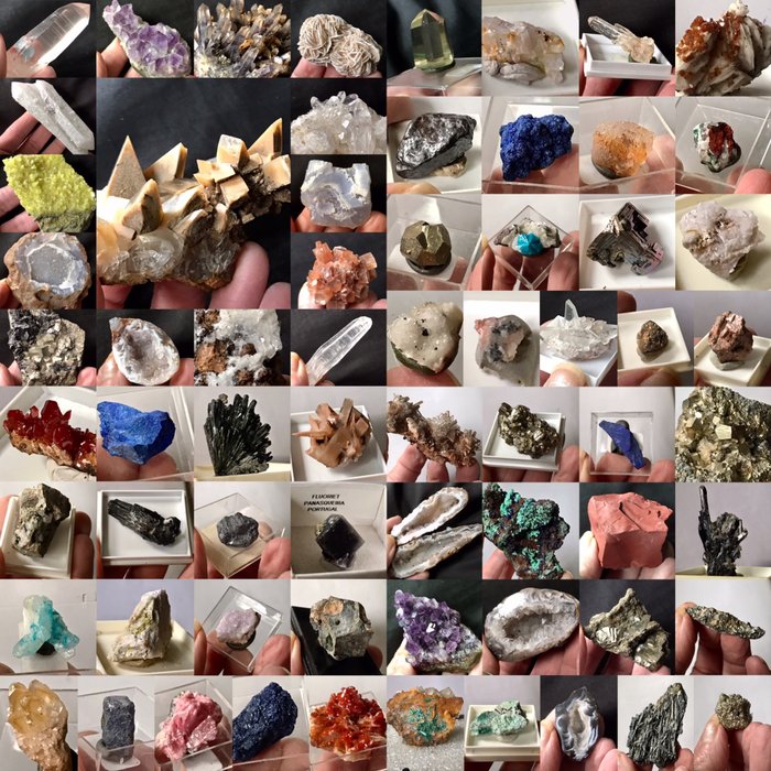 Uitgebreide verzameling mineralen - 11.5×4×3 cm - 2660 g - (67)