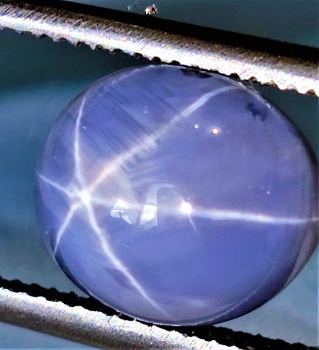 Albastru violet Safir Stea, neîncălzit - 3.39 ct