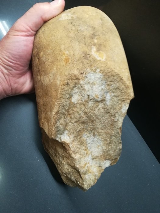 Paleolithic Quartzite Lower Paleolithic Huge Chopping Tool. Exceptional  size, 246 x 135 mm. 3950 grams. Very rare. Spain / CoinsTree