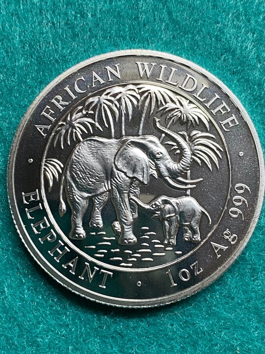 Somalia - 100 Shillings 2007 - African Wildlife - Elephant - 1 oz. Silber.
