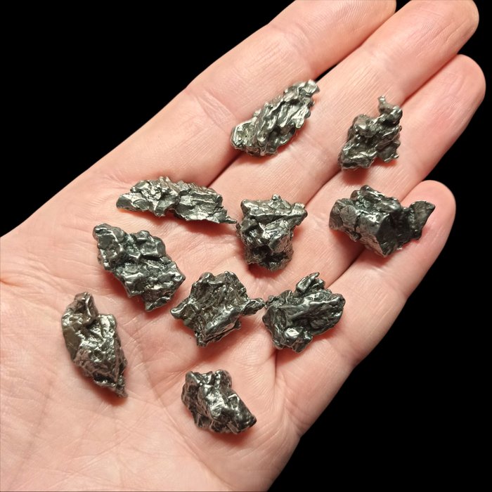 x 10 IRON METEORITES. Campo del Cielo (Argentina, 4500 years). WITHOUT RESERVE PRICE. - 70 g
