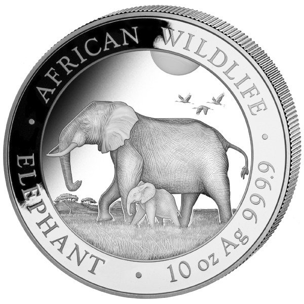 Somalië. 1.000 Shilling 2022 African Wildlife Elefant 10 oz in Kapsel