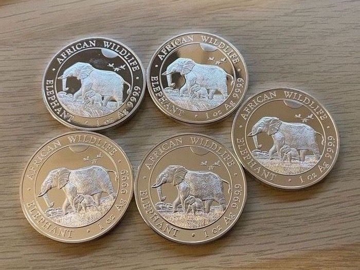 Somalie. 100 Shilling 2022 - Elefanten - 5 x 1 Oz