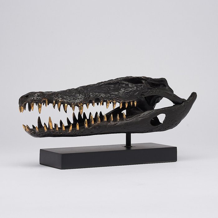 sculptuur, Saltwater Crocodile Skull fashioned in bronze, on custom stand - Bronze - 18 cm - Brons