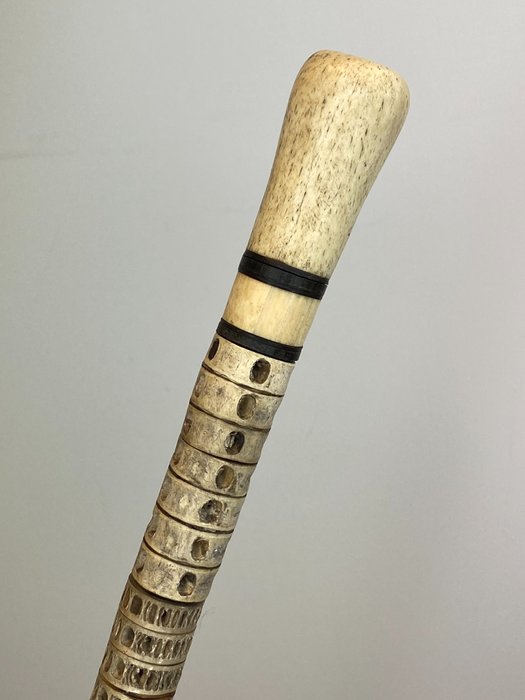 拐杖, 由鯊魚椎骨和鯨魚骨鞍製成 - 鯨魚骨和鯨骨 - 約1880年