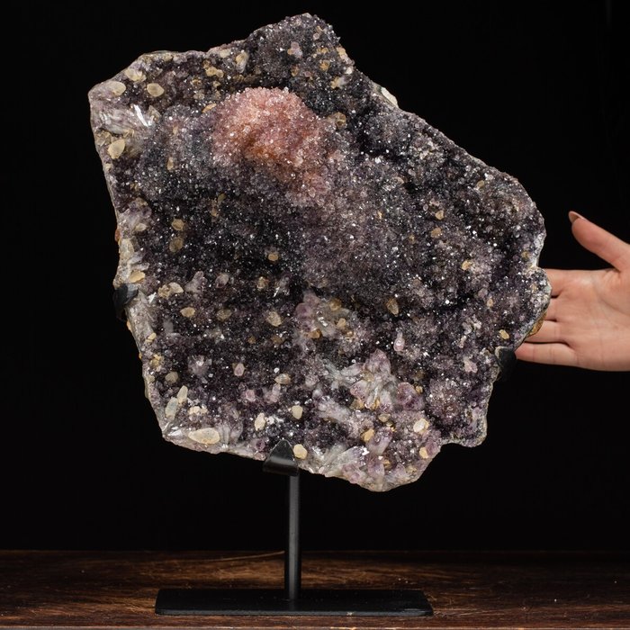 令人惊叹的紫水晶与石英 - 德鲁齐在基地 - 高度: 440 mm - 宽度: 335 mm- 9300 g