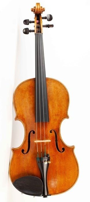 Label W. HOYER after Amati - 4/4 - violin - Tjeckien - 1895