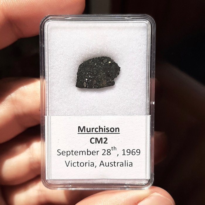 Murchison meteorito | Barnebys