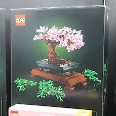 LEGO - Botanical Collection (4 Set) - Hard to Find It - Bouquet di fiori +  Bonsai + Rose + Tulipani - Catawiki