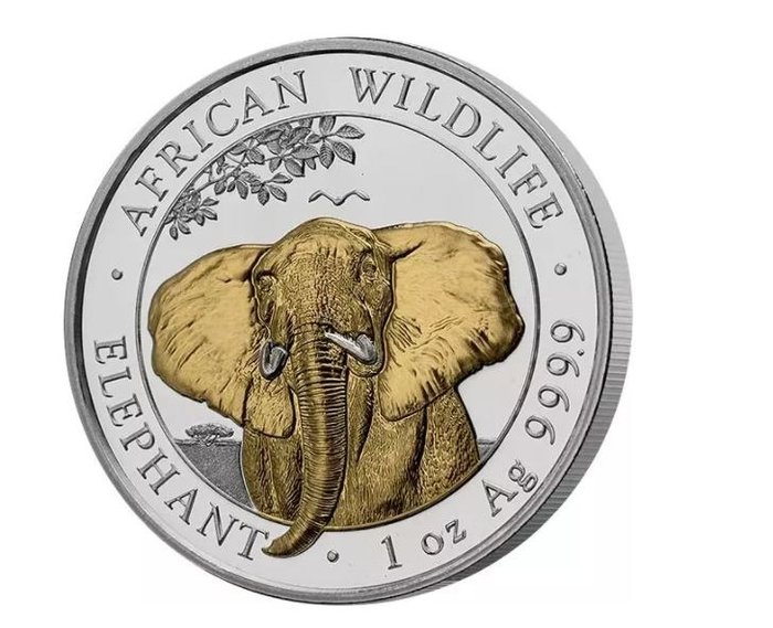 Somalia. 100 Shilling 2021 - Elephant - Goldapplikation - 1 Oz