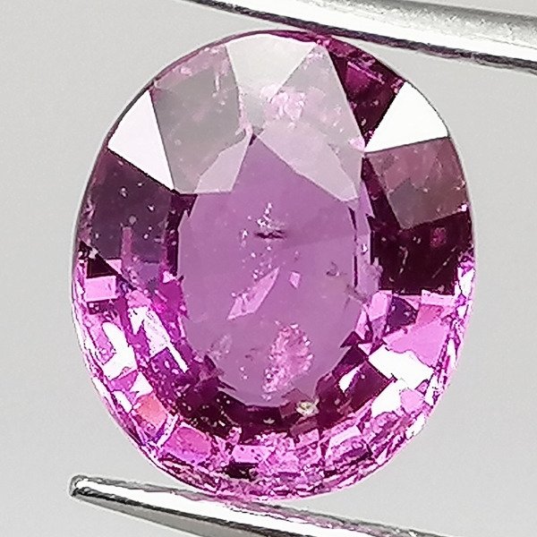 Pink Sapphire - 1.61 ct
