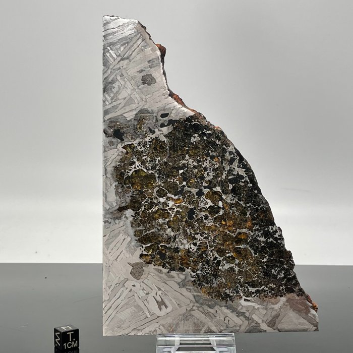 Suuri XXL SEYMCHAN Meteoriitti kiillotettu KORKEALAATUINEN - 275 g