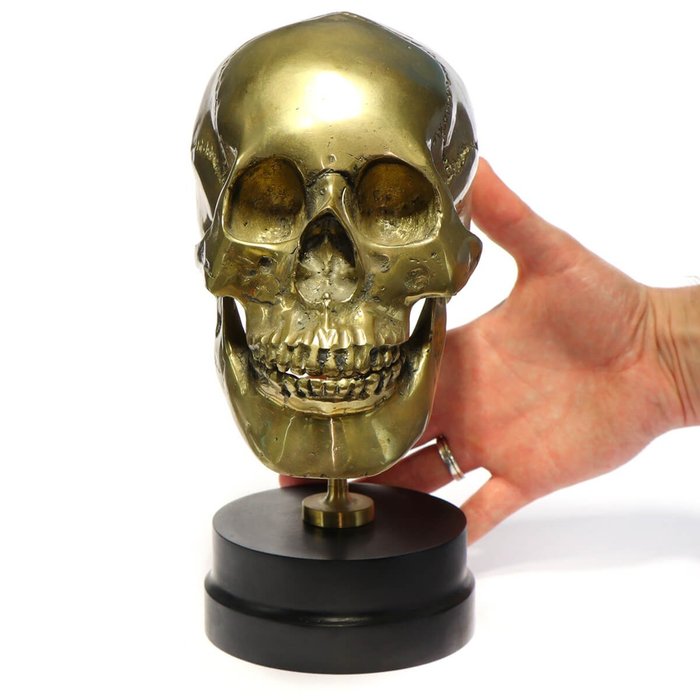 Crânio Humano em Latão - "Memento Mori" - Início do Século XX Crânio - Homo Sapiens - 260 mm - 160 mm - 165 mm