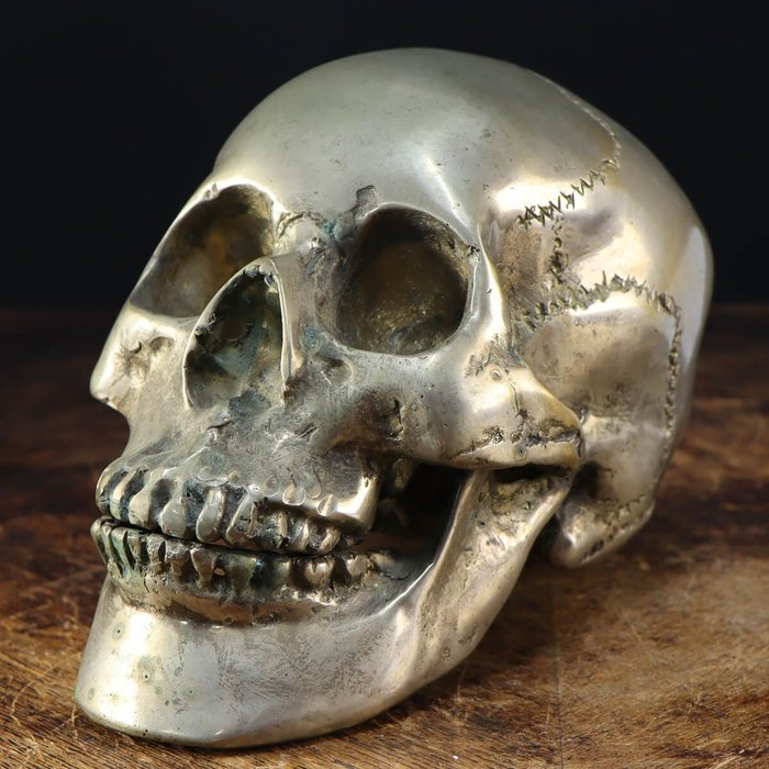 Replica Skull - Memento Mori - late 20th century, Italy