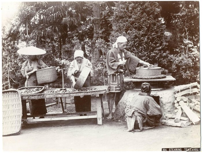 Anonyme - 1900 - Japon, Japan, steaming tea leaves, feuilles de thé à la vapeur