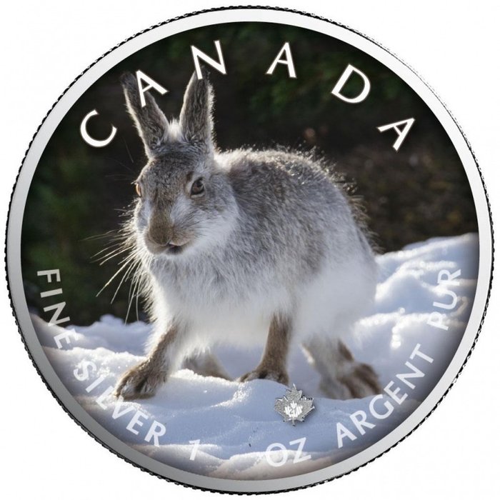 Canada. 5 Dollars 2021 - Maple Leaf - "On the Trails of Wildlife - Schneehase" - with COA - 1 Oz