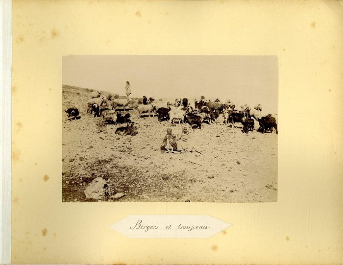 Anonyme - 1875 - Algérie, Bergers et troupeau