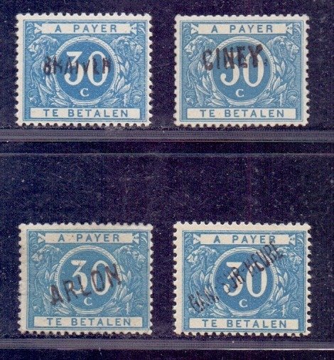 Belgien 1919 - Surcharge postage due stamps - 1916 type - 30c ultramarine with twelve different overprints - OBP/COB TX15A met 12 verschillende opdrukken