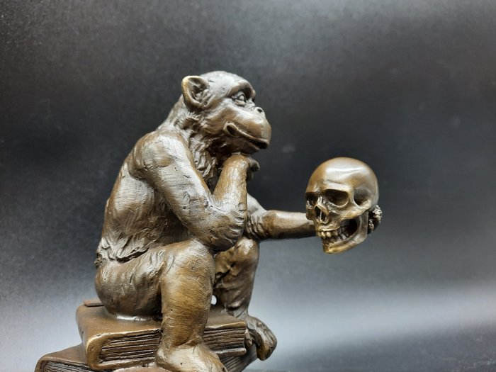 Scimmia Darwin in bronzo con teschio umano - Bronzo, Marmo