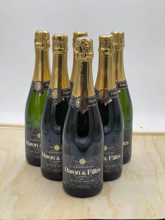 Haton & Filles, Solo de Meunier - Champagne Brut - 6 Flasker  (0,75 l)