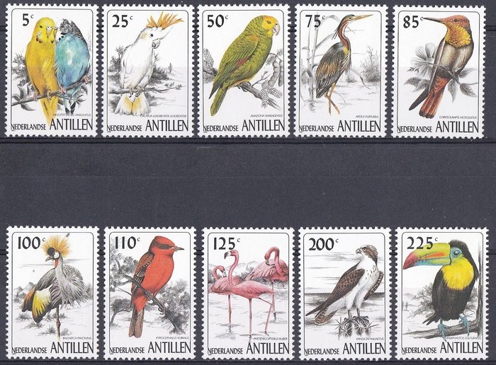 Wereld - Collectie Motief Vogels