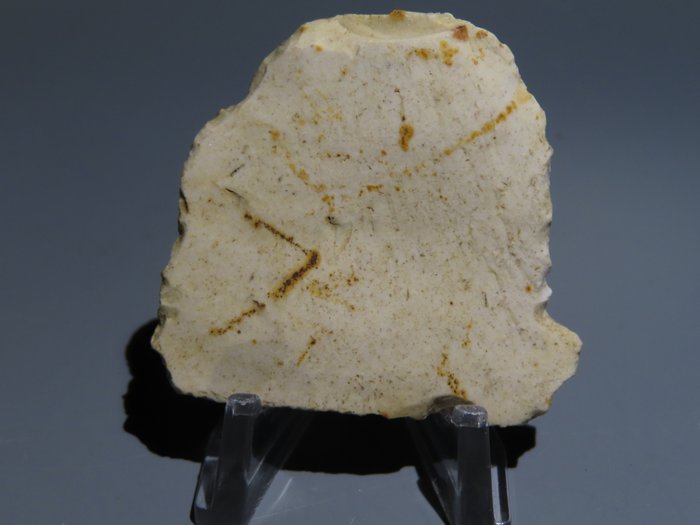 Neolithic Flint Flint tool. Michelsberg Culture (found in Spiennes, Mons, Belgium). 4,6 cm H.