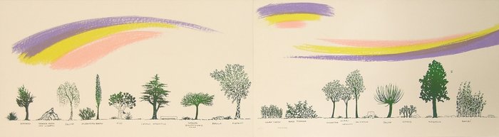 Bruno Munari  (1907-1998) - Un viale di alberi diversi XL