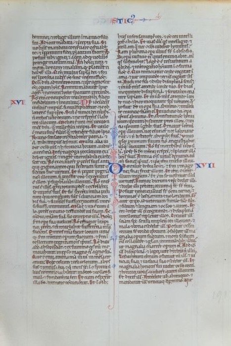 Manuscript - Original bible sheet from the 13th century - 1250