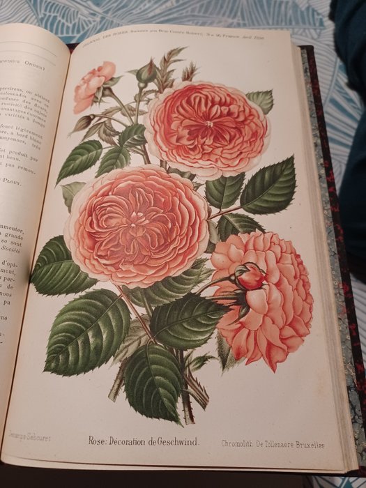 Pierre Cochet - Journal des roses - 1888/1907