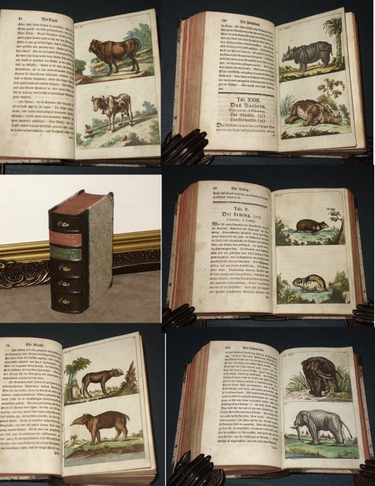 Dr. Martin Engelbrecht - Unterhaltungen aus der Naturgeschichte: Säugetiere 1. u. 2. Teil. Mit 128 handcolorierten Stichen - 1792