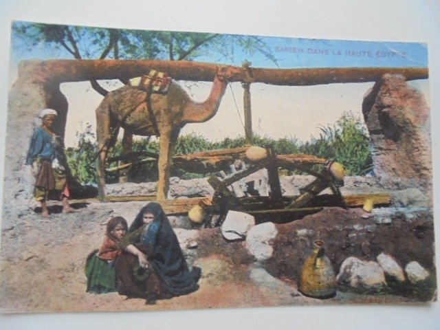 Algérie - Ville et paysages - Cartes postales (Collection de 105) - 1900-1920