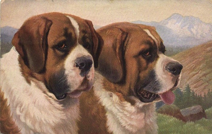 Tiere, Reinrassige Hunde, signiert - Div. Rassen wie Boxer, Schäferhund, Terrier. - Postkarten (Sammlung von 69) - 1910-1940