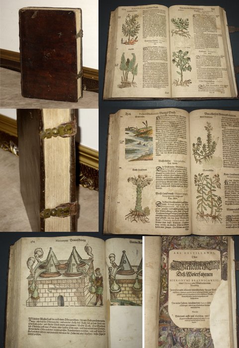 Pedacii Dioscoridis Anazarbaei - Kräuterbuch / Destillierbuch - 1614