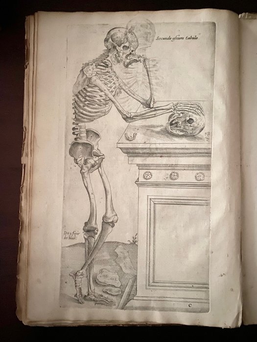 André Vesale - Epitome anatomica - 1617