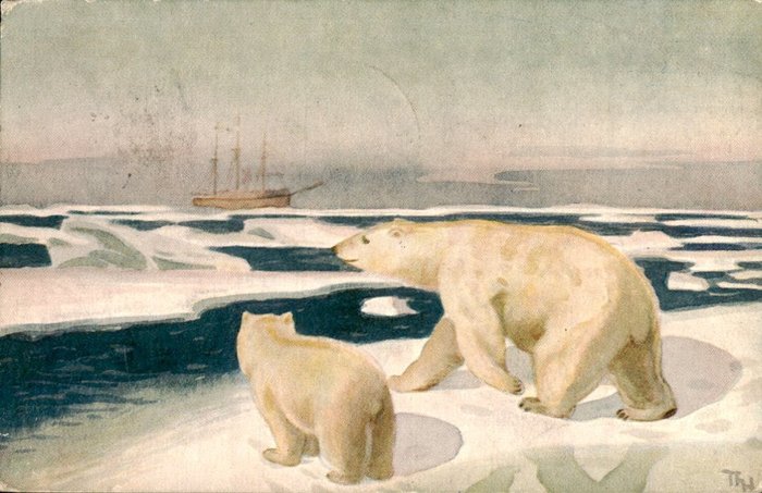 Norwegen - Roald Amundsen Polarexpedition 1924 - Nordpol - Polhavet - North Poleole - Illustration - - Postkarten (Paar von 2) - 1924