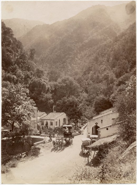 Neurdein - 1880 - Algérie - Gorges de la Chiffa
