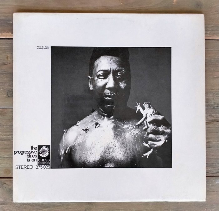 Muddy Waters - After The Rain [German Press] - LP Album - 1969