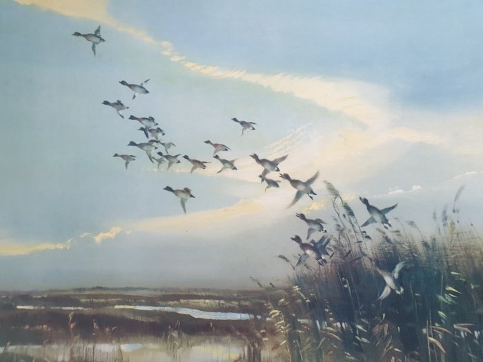 Vernon Ward (1905-1985) - Hunted Geese