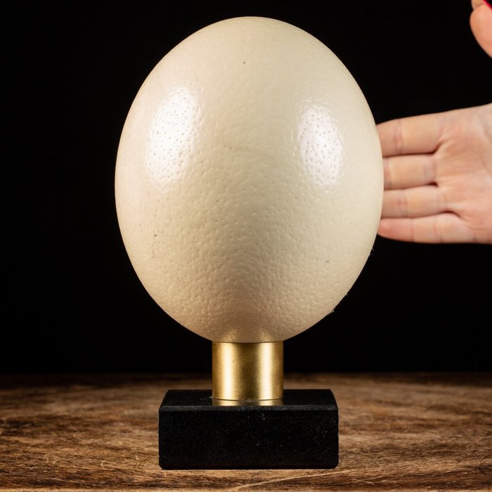 Huevo de avestruz sobre base decorativa de mármol.