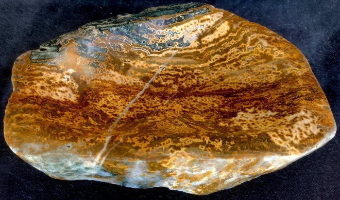Ozean-Jaspis Schale - 5×23×17 cm - 2.8 kg