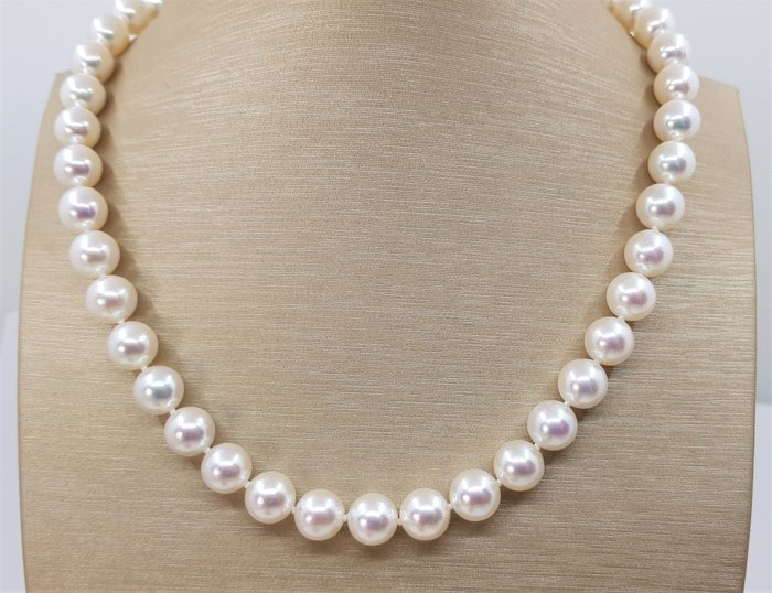 Preview of the first image of 9x9.5mm - 925 Akoya pearls, Silver - Necklace.