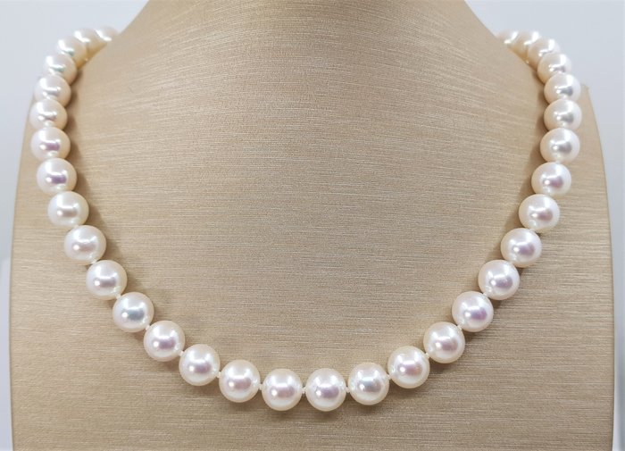 Image 2 of 9x9.5mm - 925 Akoya pearls, Silver - Necklace