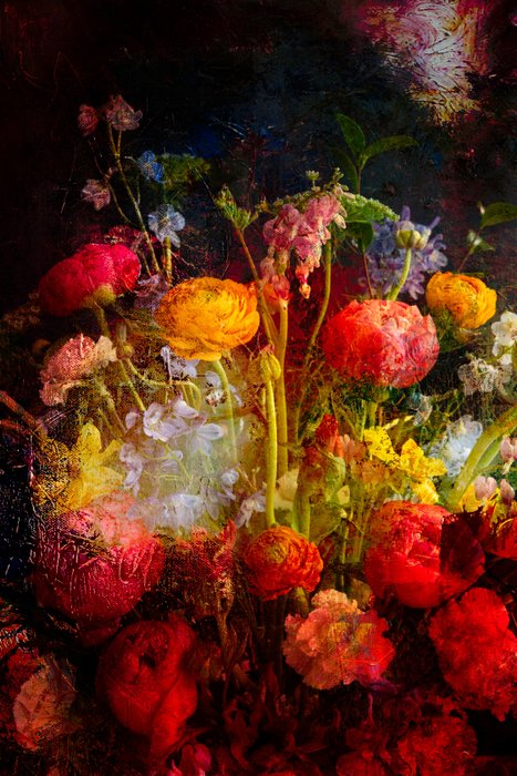 Preview of the first image of Viet Ha Tran - Baroque Flowers VII.