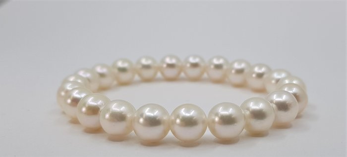 Image 3 of 8x9mm Akoya pearls - Bracelet