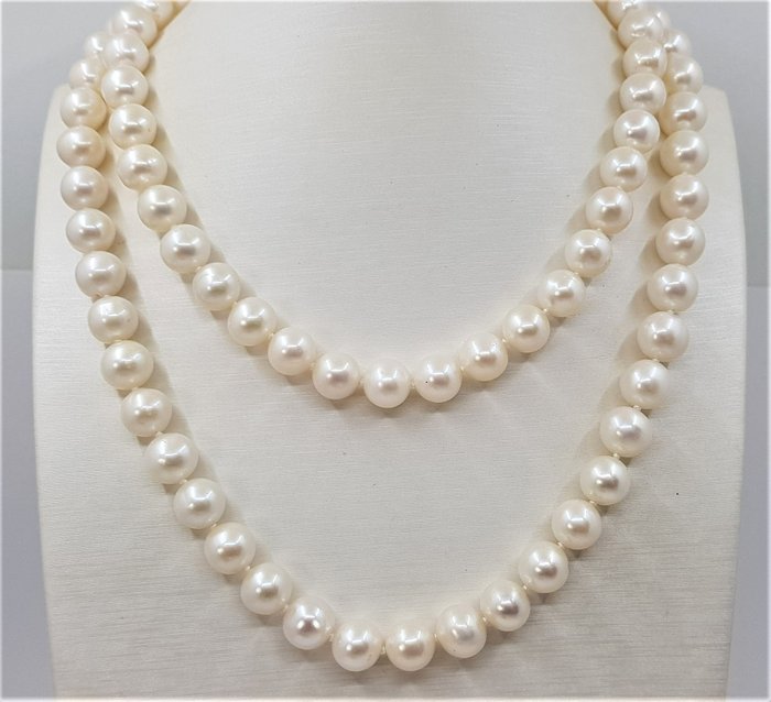 没有保留价 - 项链 10x11 毫米圆形白色爱迪生淡水珍珠 