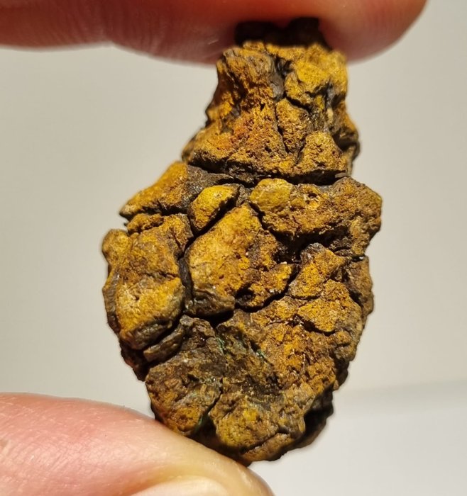 Smuk Sericho meteorit på pæn standard - Højde: 40 mm - Bredde: 25 mm - 23 g - (1)