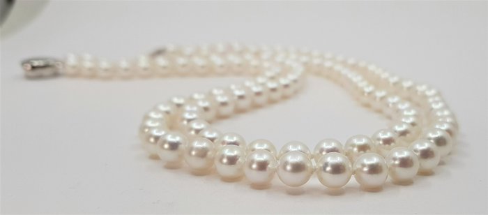 Image 3 of Double 2 Row - 6.5x7mm Bright - 925 Akoya pearls, Silver - Necklace